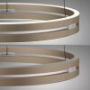 E-Loop Suspension Luminaires Paul Neuhaus LED Bronze, 2 lumières, Télécommandes