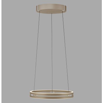 E-Loop Suspension Luminaires Paul Neuhaus LED Bronze, 2 lumières, Télécommandes