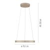 E-Loop Suspension Luminaires Paul Neuhaus LED Bronze, 2 lumières, Télécommandes