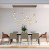 Popup Suspension Luminaires Paul Neuhaus LED Bronze, 19 lumières, Télécommandes