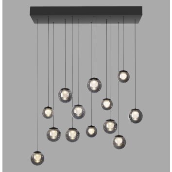 Popup Suspension Luminaires Paul Neuhaus LED Gris, 13 lumières, Télécommandes