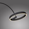 Loop-Bow Lampadaire, Lampadaires arc Luminaires Paul Neuhaus LED Noir, 2 lumières