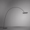 Loop-Bow Lampadaire Luminaires Paul Neuhaus LED Noir, 2 lumières