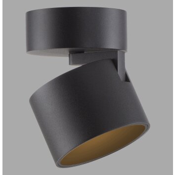 Cup Plafonnier Luminaires Paul Neuhaus LED Noir, 1 lumière
