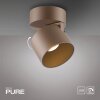 Cup Plafonnier Luminaires Paul Neuhaus LED Bronze, 1 lumière