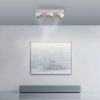 Cup Plafonnier Luminaires Paul Neuhaus LED Blanc, 3 lumières