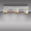 Cup Plafonnier Luminaires Paul Neuhaus LED Blanc, 3 lumières