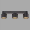 Cup Plafonnier Luminaires Paul Neuhaus LED Noir, 3 lumières