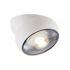Move Plafonnier Luminaires Paul Neuhaus LED Blanc, 1 lumière
