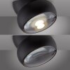 Move Plafonnier Luminaires Paul Neuhaus LED Noir, 1 lumière