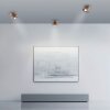 Move Plafonnier Luminaires Paul Neuhaus LED Bronze, 1 lumière