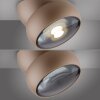 Move Plafonnier Luminaires Paul Neuhaus LED Bronze, 1 lumière
