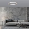Round Plafonnier Luminaires Paul Neuhaus LED Blanc, 1 lumière, Télécommandes