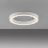 Round Plafonnier Luminaires Paul Neuhaus LED Blanc, 1 lumière, Télécommandes