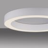 Round Plafonnier Luminaires Paul Neuhaus LED Blanc, 1 lumière, Télécommandes