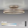 Loop Plafonnier Luminaires Paul Neuhaus LED Bronze, 2 lumières, Télécommandes