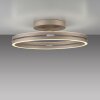 Loop Plafonnier Luminaires Paul Neuhaus LED Bronze, 2 lumières, Télécommandes