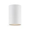 Point Plafonnier Luminaires Paul Neuhaus LED Blanc, 1 lumière