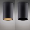 Point Plafonnier Luminaires Paul Neuhaus LED Noir, 1 lumière