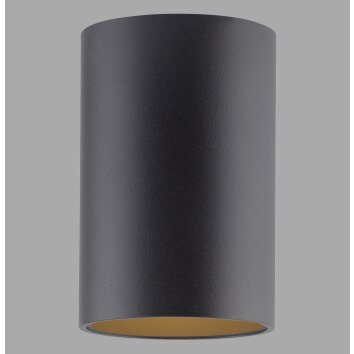 Point Plafonnier Luminaires Paul Neuhaus LED Noir, 1 lumière