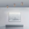 Point Plafonnier Luminaires Paul Neuhaus LED Bronze, 1 lumière