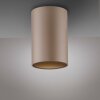 Point Plafonnier Luminaires Paul Neuhaus LED Bronze, 1 lumière