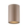 Point Plafonnier Luminaires Paul Neuhaus LED Bronze, 1 lumière