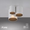 Point Plafonnier Luminaires Paul Neuhaus LED Blanc, 1 lumière