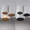 Point Plafonnier Luminaires Paul Neuhaus LED Blanc, 1 lumière