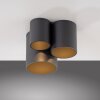 Point Plafonnier Luminaires Paul Neuhaus LED Noir, 1 lumière