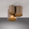 Point Plafonnier Luminaires Paul Neuhaus LED Bronze, 1 lumière