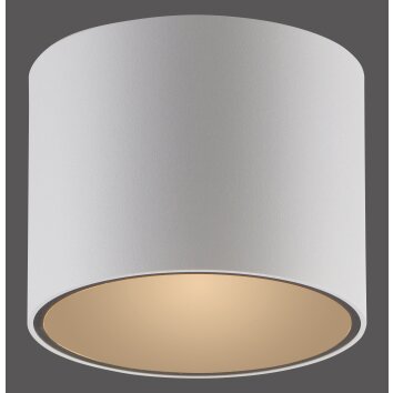 Point Plafonnier Luminaires Paul Neuhaus LED Blanc, 1 lumière