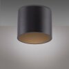 Point Plafonnier Luminaires Paul Neuhaus LED Noir, 1 lumière