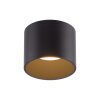Point Plafonnier Luminaires Paul Neuhaus LED Noir, 1 lumière