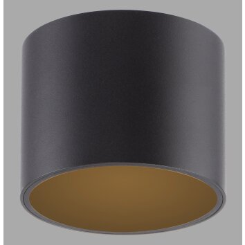 Point Plafonnier Luminaires Paul Neuhaus LED Noir, 1 lumière