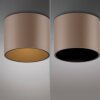 Point Plafonnier Luminaires Paul Neuhaus LED Bronze, 1 lumière