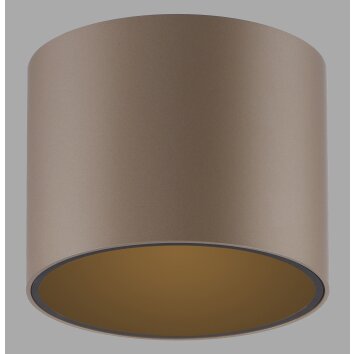 Point Plafonnier Luminaires Paul Neuhaus LED Bronze, 1 lumière