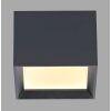 Manhattan Plafonnier Luminaires Paul Neuhaus LED Gris, 1 lumière, Télécommandes