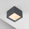 Manhattan Plafonnier Luminaires Paul Neuhaus LED Gris, 1 lumière, Télécommandes