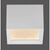 Manhattan Plafonnier Luminaires Paul Neuhaus LED Blanc, 1 lumière, Télécommandes