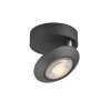 Oculis Plafonnier Luminaires Paul Neuhaus LED Noir, 1 lumière