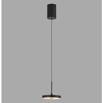 PLATA Suspension Luminaires Leuchten Direkt LED Noir, 1 lumière
