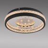 HANNI Plafonnier Luminaires Leuchten Direkt LED Noir, 1 lumière