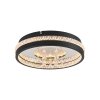 HANNI Plafonnier Luminaires Leuchten Direkt LED Noir, 1 lumière