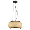 Bambora Suspension Luminaires Globo Lighting LED Noir, 1 lumière