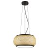 Bambora Suspension Luminaires Globo Lighting LED Noir, 1 lumière