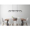 Carlene Suspension Luminaires Globo Lighting LED Noir, 1 lumière