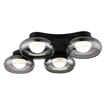 Carlene Plafonnier Luminaires Globo Lighting LED Noir, 1 lumière