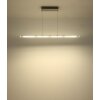 Novak Suspension Luminaires Globo Lighting LED Nickel mat, 1 lumière