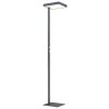 Barker Lampadaire Luminaires Globo Lighting LED Anthracite, 1 lumière